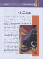 مجله نوجوان 163 صفحه 32