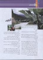 مجله نوجوان 163 صفحه 28