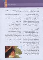 مجله نوجوان 163 صفحه 29