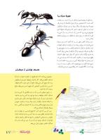 مجله نوجوان 164 صفحه 27