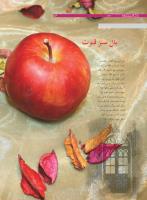 مجله نوجوان 165 صفحه 16