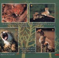 مجله خردسال 7 صفحه 22