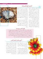 مجله نوجوان 166 صفحه 25