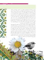 مجله نوجوان 166 صفحه 11