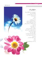 مجله نوجوان 166 صفحه 34
