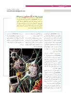 مجله نوجوان 167 صفحه 8