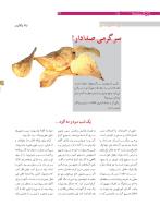 مجله نوجوان 168 صفحه 24