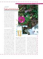 مجله نوجوان 168 صفحه 12