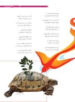 مجله نوجوان 169 صفحه 15
