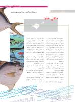 مجله نوجوان 169 صفحه 9