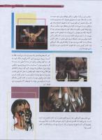 مجله نوجوان 172 صفحه 25