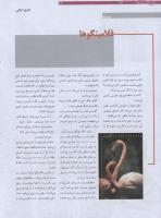 مجله نوجوان 173 صفحه 26