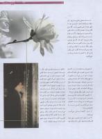 مجله نوجوان 173 صفحه 11