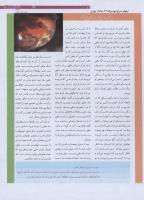 مجله نوجوان 174 صفحه 11