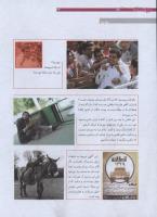 مجله نوجوان 174 صفحه 32
