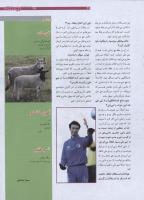 مجله نوجوان 175 صفحه 27