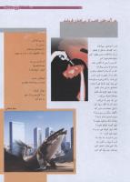 مجله نوجوان 176 صفحه 13