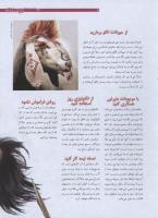 مجله نوجوان 176 صفحه 7