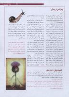 مجله نوجوان 178 صفحه 13