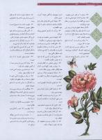 مجله نوجوان 179 صفحه 32