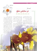 مجله نوجوان 182 صفحه 14