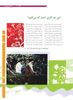 مجله نوجوان 184 صفحه 13