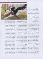 مجله نوجوان 187 صفحه 13