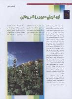 مجله نوجوان 187 صفحه 28