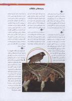 مجله نوجوان 194 صفحه 9