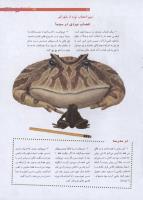 مجله نوجوان 194 صفحه 21