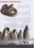 مجله نوجوان 197 صفحه 7