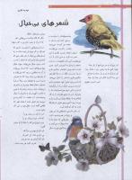 مجله نوجوان 198 صفحه 12