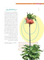 مجله نوجوان 199 صفحه 10