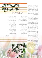 مجله نوجوان 204 صفحه 5