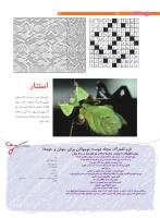 مجله نوجوان 204 صفحه 32