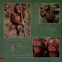 مجله خردسال 10 صفحه 23