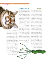 مجله نوجوان 206 صفحه 21