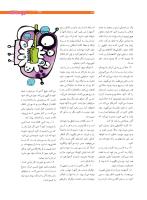 مجله نوجوان 206 صفحه 27