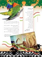 مجله نوجوان 210 صفحه 20