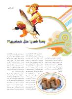 مجله نوجوان 210 صفحه 14