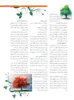 مجله نوجوان 211 صفحه 29