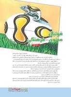 مجله نوجوان 215 صفحه 29