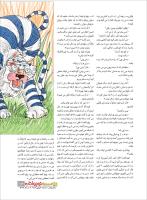 مجله نوجوان 217 صفحه 13