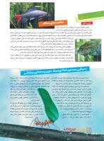 مجله نوجوان 218 صفحه 10
