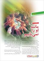 مجله نوجوان 220 صفحه 32