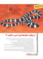 مجله نوجوان 223 صفحه 8