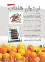 مجله نوجوان 223 صفحه 17