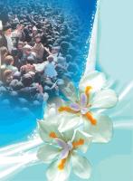 مجله نوجوان 223 صفحه 35
