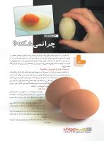 مجله نوجوان 224 صفحه 10
