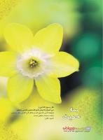 مجله نوجوان 224 صفحه 34